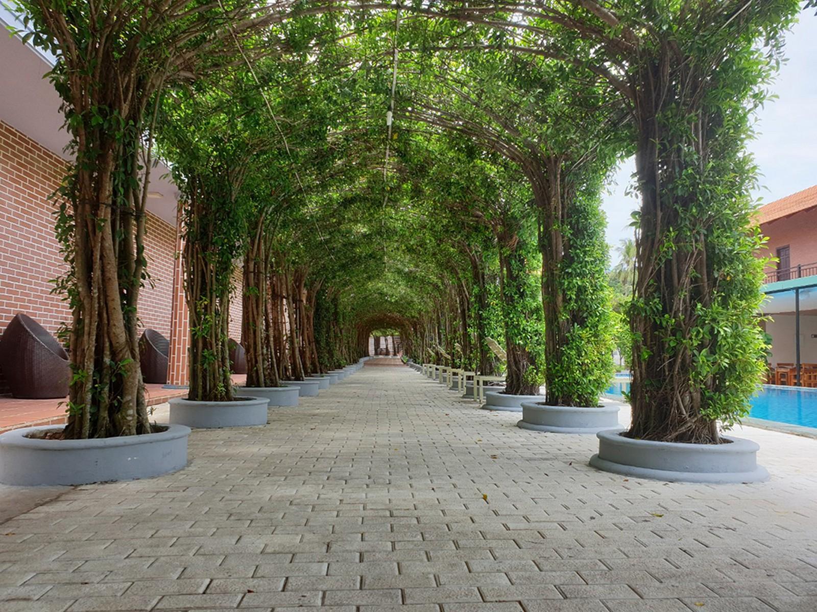 Countryside Phu Quoc Resort Dış mekan fotoğraf