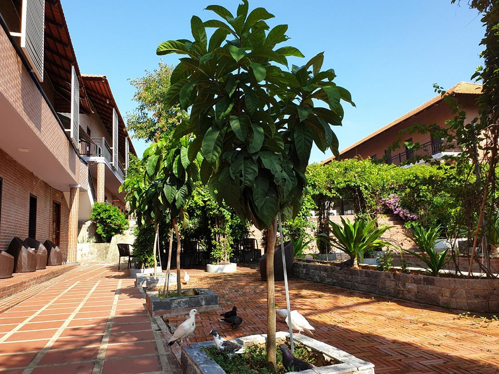 Countryside Phu Quoc Resort Dış mekan fotoğraf